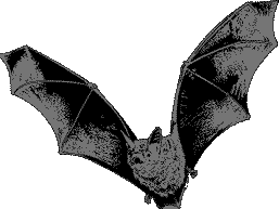bat img